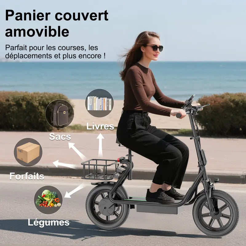 Trotinette Électrique SelleRide 500w