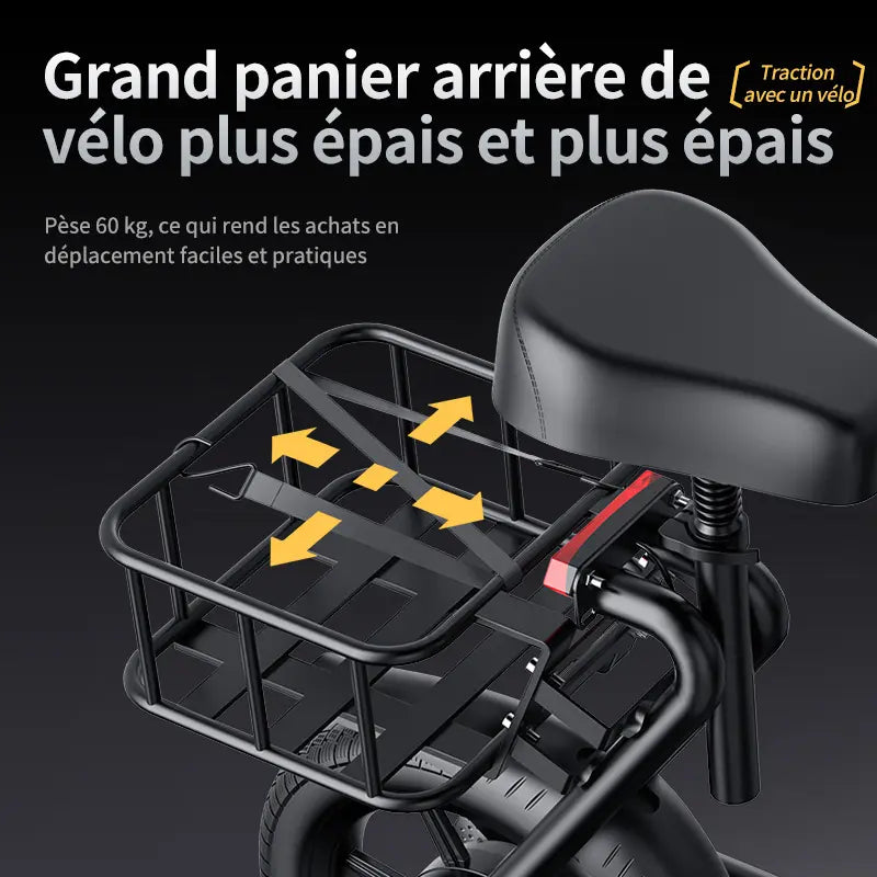 Trotinette Électrique SelleRide 500w